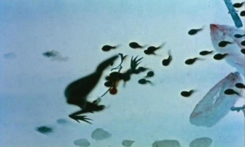 dy003_log01_pic_023