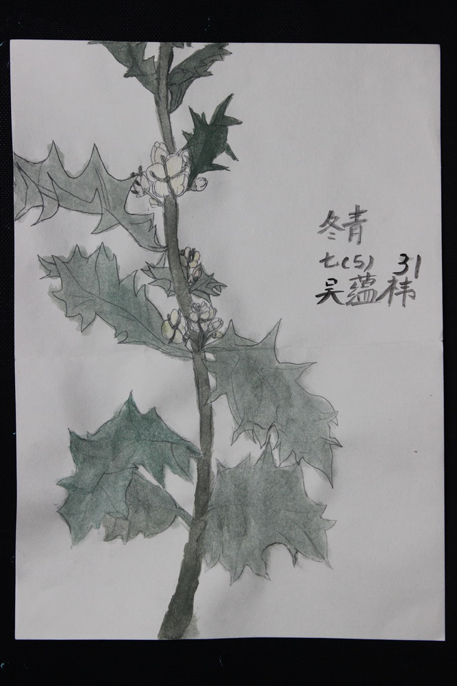dy013_log06_pic_016
