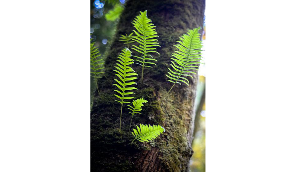 dy013_log07_pic_003