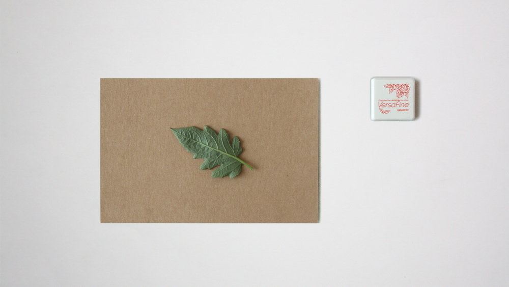 dy002_log07_pic_002