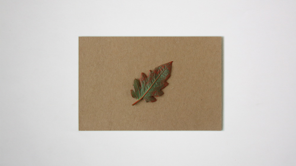 dy002_log07_pic_003